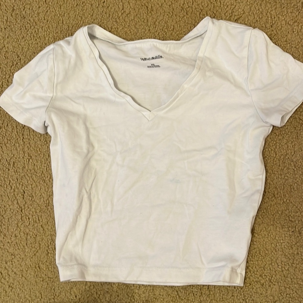 Wild Fable V-Neck Baby Tee